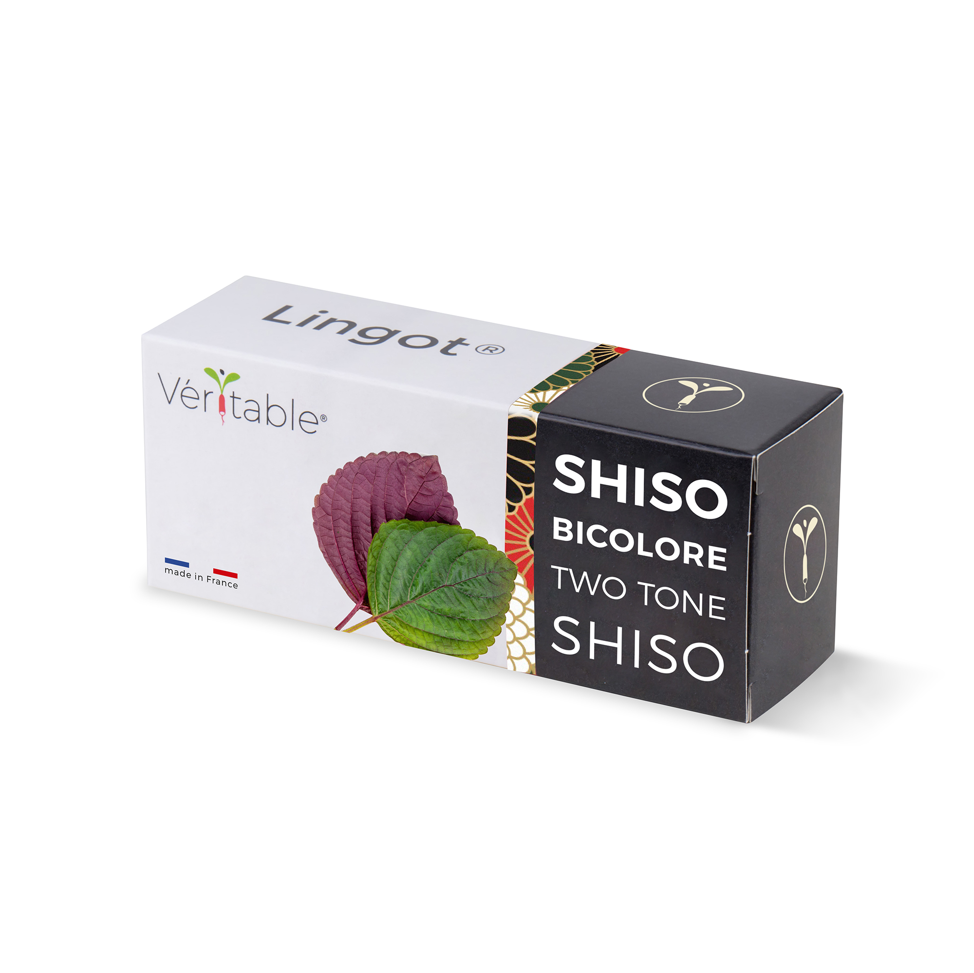 Lingot shiso bicolore