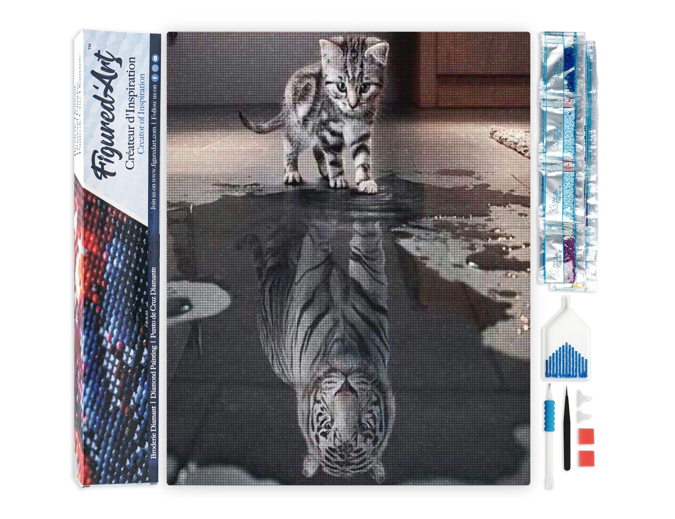 Diamond painting reflet tigre et lion