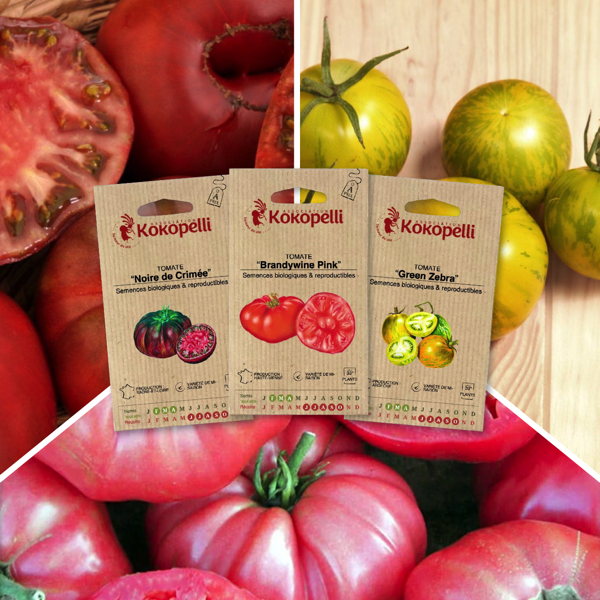 Tomates colorées - 3 sachets bio