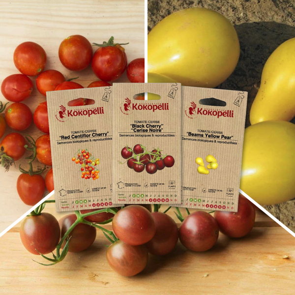 Tomates cerise apéro - 3 sachets bio