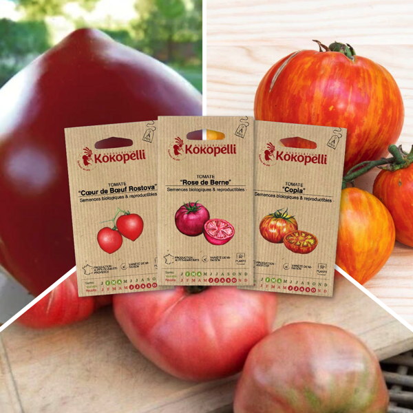 Tomates savoureuses - 3 sachets bio