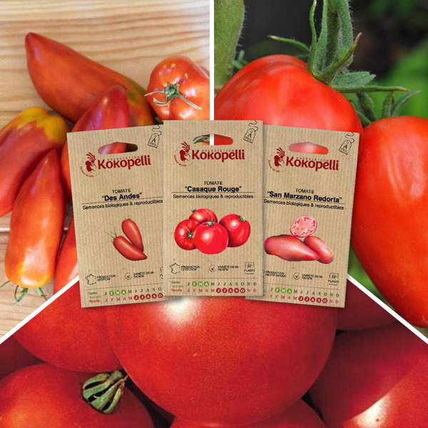 Tomates pour coulis - 3 sachets bio