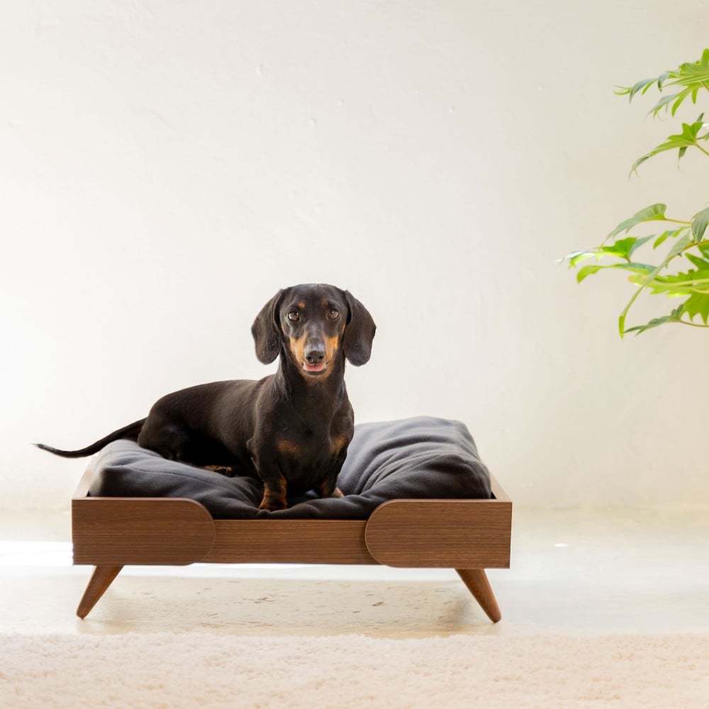 Kan, canapé chien en bois et coussin s