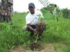 biodiversité des forêts