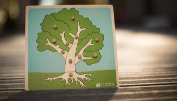 Puzzle Botanique - collection de matériel Montessori