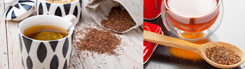 rooibos
