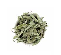 verveine